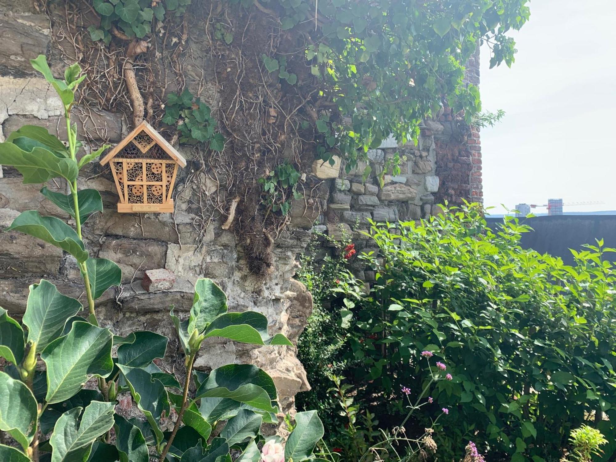 Hotel Bonjour Pierreuse Lieja Exterior foto